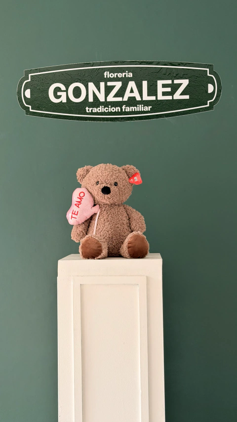 Peluche (mediano)