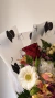 Egresados (con rosas) en internet