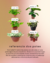 Cachepot 15x10 - Terracota Artes & Plantas 