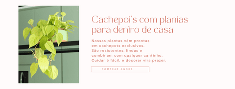 Carrossel 1