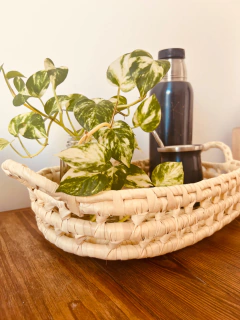 BANDEJA MILI en internet