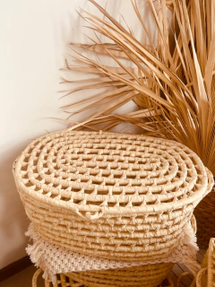 Baúl Trini en internet