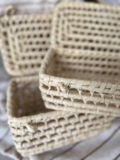 Organizador Agata en internet