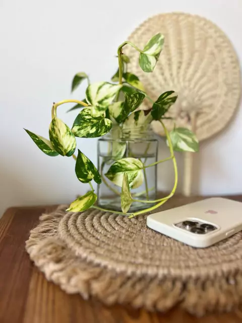 Centro de mesa Jaspe