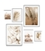Kit 6 Quadros Elegância Boho Chic - comprar online