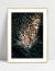 Quadro Onça Selvagem - loja online