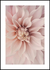 Quadro Flower