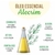 Óleo Capilar de Alecrim Fixed 60 ml - loja online