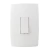 Pialplus Interruptor Simples Vertical com Placa 2x4 611100 Legrand