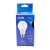 Lâmpada Bulbo A60 Led 9W 6500K Bivolt Bx9x6500 Elgin - comprar online