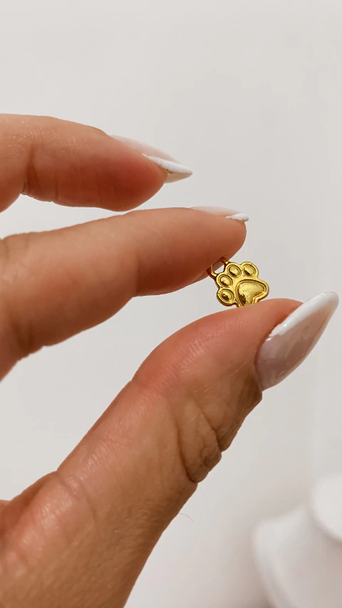 Pingente patinha - comprar online