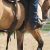 BARRIGUEIRA IMPORTADA RETA AIRFLEX CINCH WEAVER EQUINE - comprar online