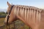 ELÁSTICO PARA CRINA E RABO BOOTS HORSE SILICONE 350UN na internet