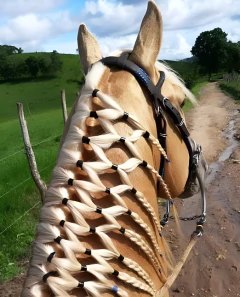 ELÁSTICO PARA CRINA E RABO BOOTS HORSE SILICONE ROSA 500UN - comprar online