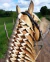 ELÁSTICO PARA CRINA E RABO BOOTS HORSE SILICONE MARROM 500UN - comprar online