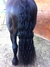 ELÁSTICO PARA CRINA E RABO BOOTS HORSE SILICONE ROXO 500UN - SELARIA GUIMARÃES