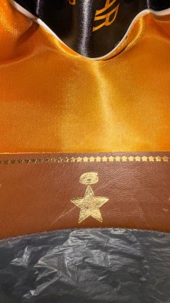 Imagem do CHAPÉU LONE STAR IMPORTADO ORIGINAL PALOMINO ABA 10,5