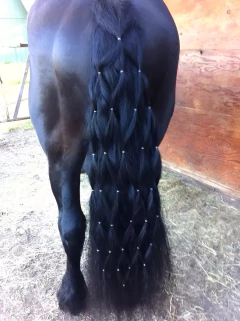 ELÁSTICO PARA CRINA E RABO BOOTS HORSE SILICONE PRETO 500UN na internet