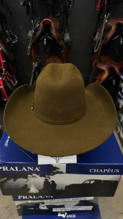 CHAPÉU PRALANA ARENA AMERICAN FELT ABA 11 CAFÉ - SELARIA GUIMARÃES