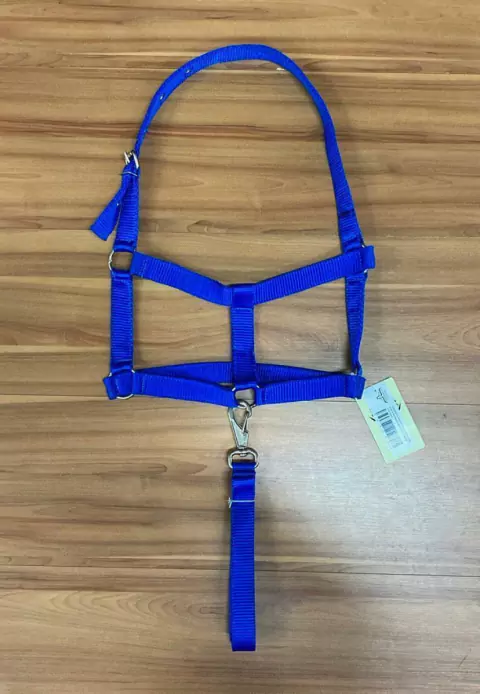 CABRESTO INGLÊS P/ CAVALO FITA E MOSQUETÃO REGULAGEM AZUL
