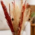 Vaso Decorativo de Vidro com Folhagem Luz Do Campo - comprar online