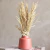 Vaso De Cerâmica Minimalista Boho P Com Folhagens Secas