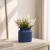 Vaso de Cerâmica Azul com Astilbe Branca