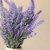Vaso de Cerâmica Bojudinho Off White com Lavanda - comprar online