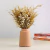 Vaso De Cerâmica Bege Minimalista Boho M Com Folhagens Secas