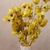 Vaso de Ceramica Roma Com Bougainville - comprar online
