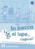 In bocca al lupo, ragazzi! 1 – quaderno di lavoro