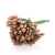 Pistilo Pvc Para Decoração Ouro Rosê