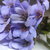 Buquê de Margarida Artificial 28cm - Lavanda Outono - comprar online