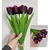 Buque de Tulipa FF-0003RX - Roxo
