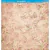 Papel Scrap Dupla Face Litoarte Padrão Rosas Vintage - SD-0978 - comprar online