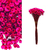 Sempre Viva Desidratada para Decoração Rosa Pink - DV