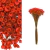 Sempre Viva Desidratada para Decoração Vermelho