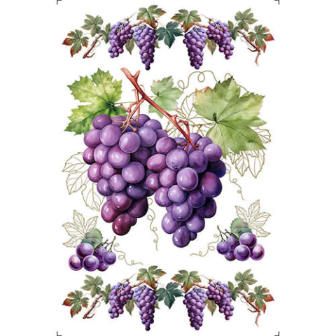 Tranfer de Imagem Big 19,5x29,5cm Litoarte - Uvas TIB-079 - comprar online