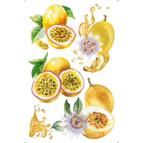 Transfer de Imagem Small 9,8x15cm Litoarte - Maracujá TIS-095 - comprar online