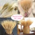 Flor De Trigo Seco - Ramo DV - comprar online