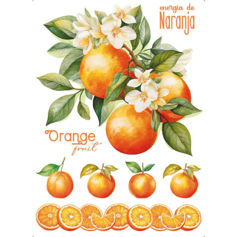 Transfer Têxtil Retangular 20x27,5cm Litoarte Laranjinhas - TTR6-022 - comprar online