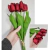 Buque de Tulipa - Vermelho