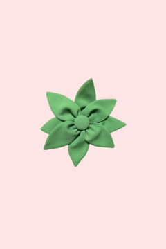 Flor