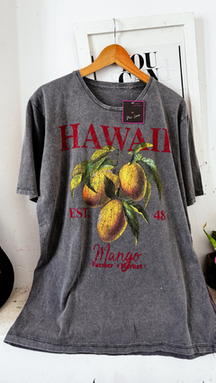 Imagen de Remeron Hawai