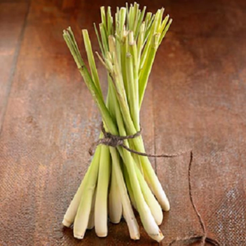 Lemon grass