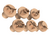 Título: Kit de Carimbo para Brigadeiro - Tema Dinossauros (6 Peças + Brindes) - loja online