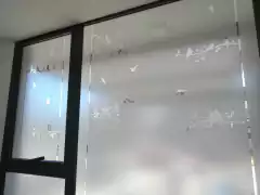 Vinilo Esmerilado calado "PARAÍSO" - comprar online