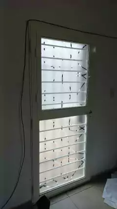 Vinilo Esmerilado calado "ELIPSES" en internet