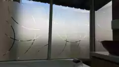 Vinilo Esmerilado calado "ANILLOS" - comprar online