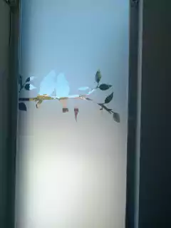 Vinilo Esmerilado calado "PARAÍSO"